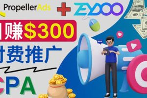（3782期）通过CPA推广平台Zeydoo日赚300美元：CPA Offer 付费推广方法！