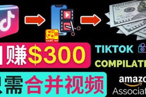 （3360期）搬运Tiktok短视频到Youtube赚钱，只需下载，合并视频，日赚300美元